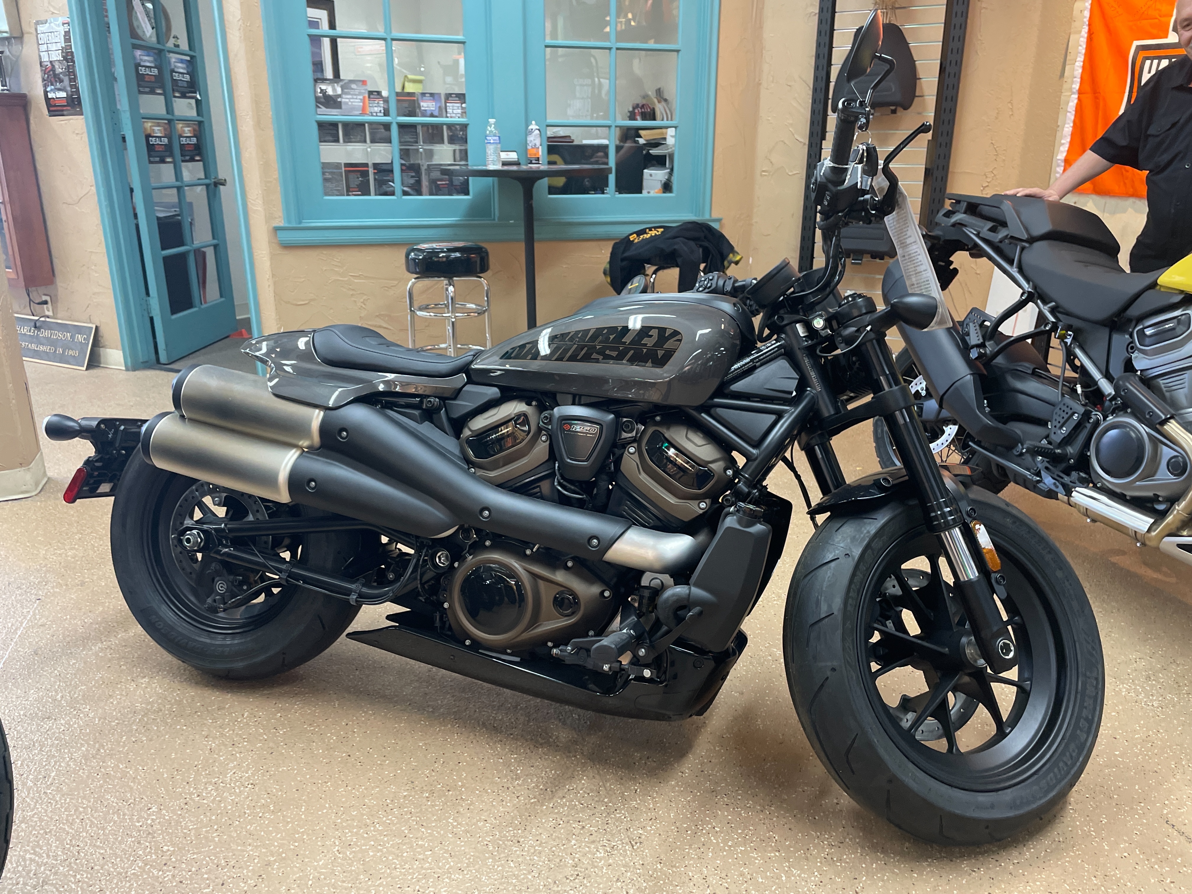 2023 Harley-Davidson Sportster at Palm Springs Harley-Davidson®