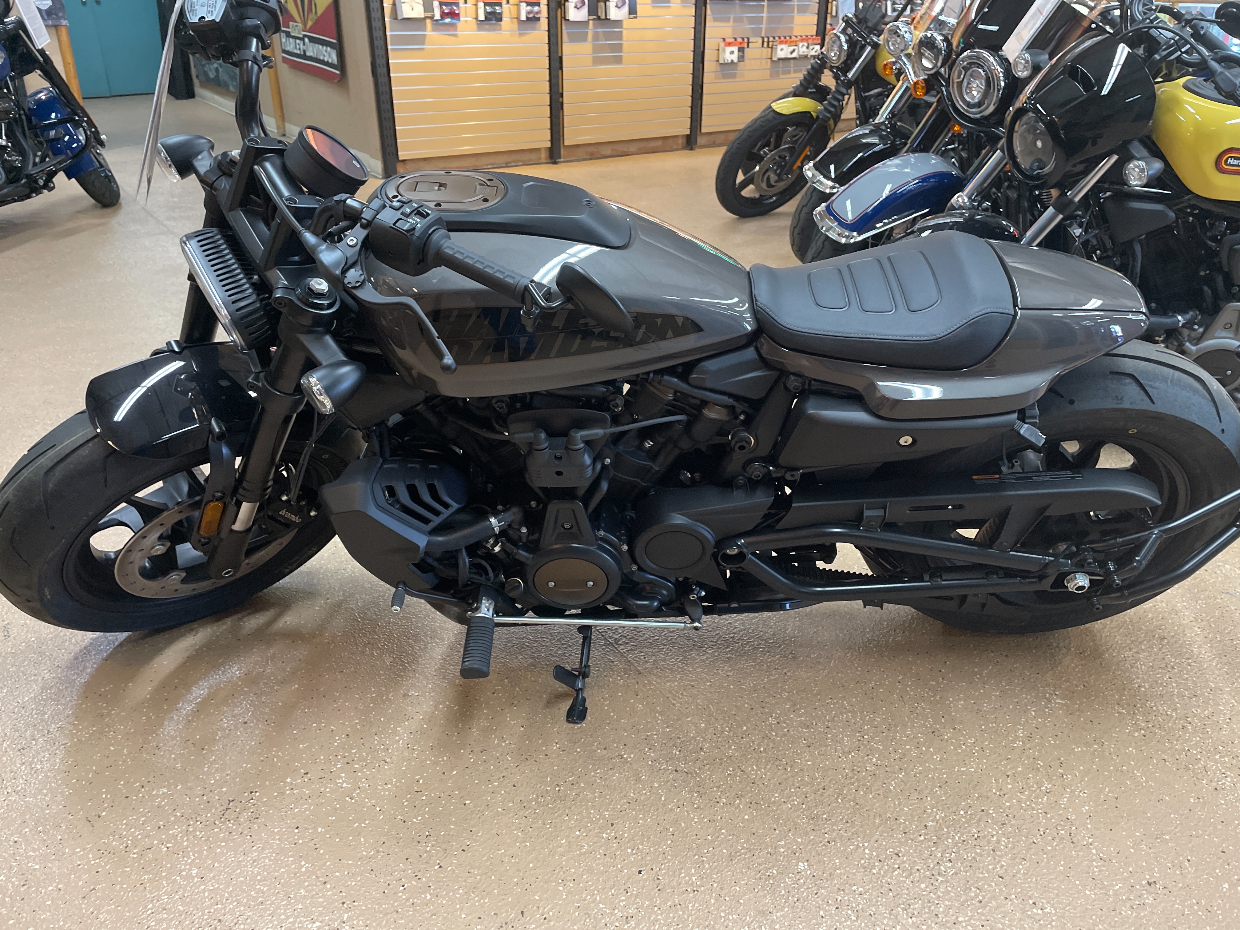 2023 Harley-Davidson Sportster at Palm Springs Harley-Davidson®