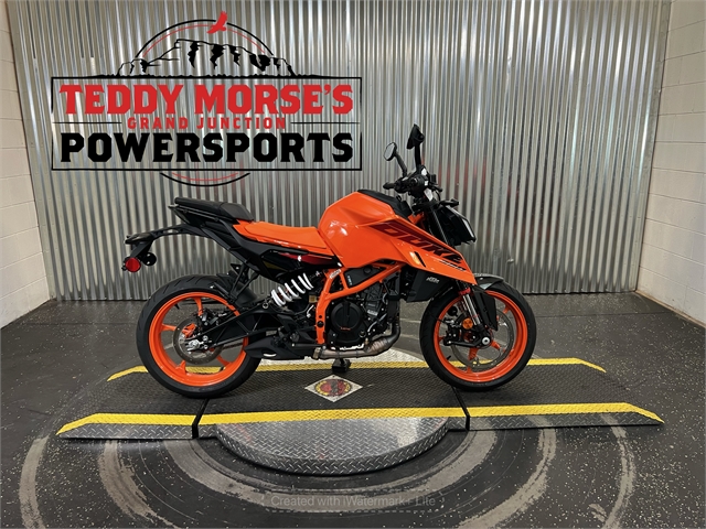 2024 KTM Duke 390 at Teddy Morse Grand Junction Powersports