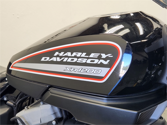 2009 Harley-Davidson Sportster XR1200 at Texoma Harley-Davidson