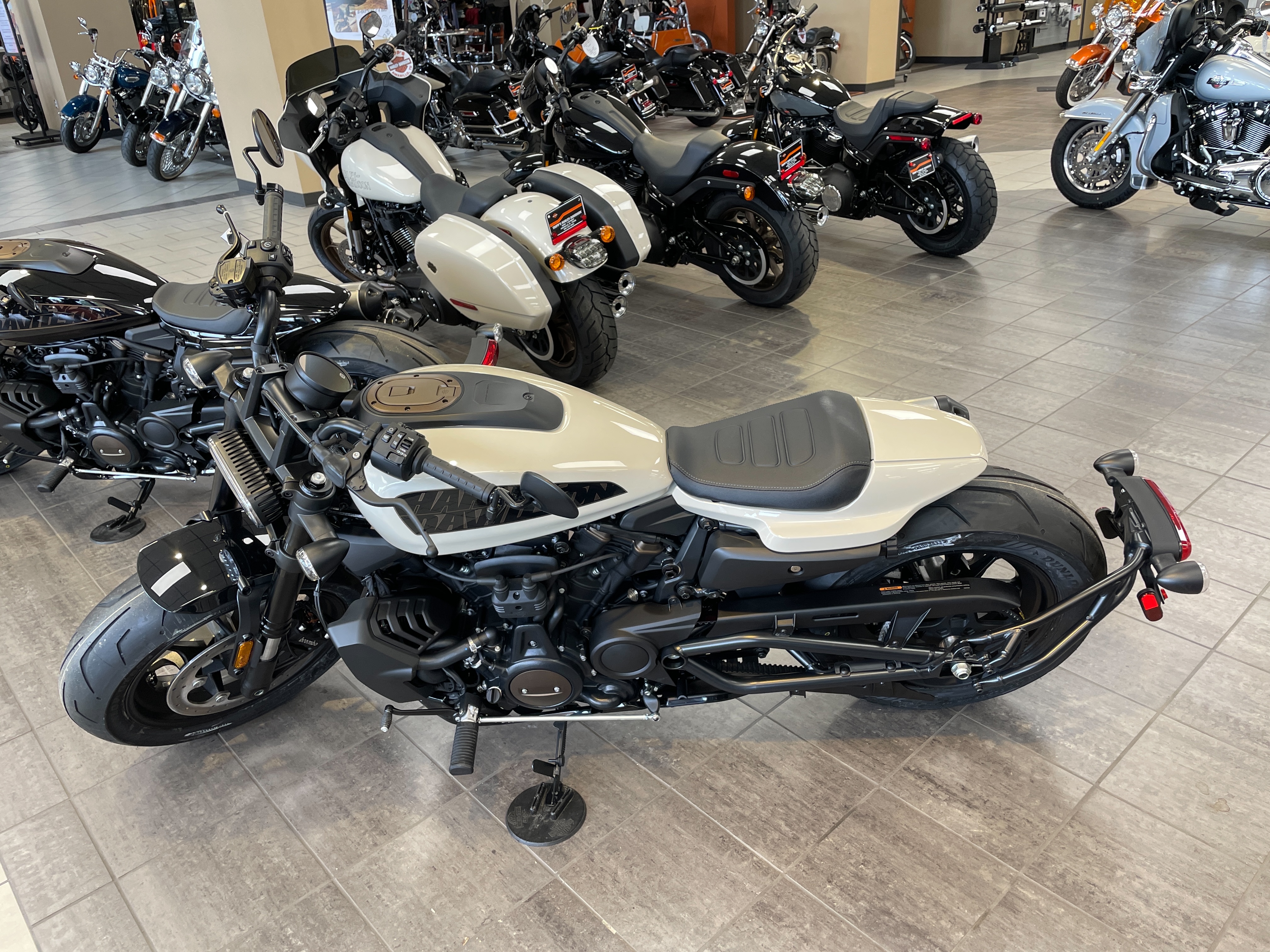 2023 Harley-Davidson Sportster at Tripp's Harley-Davidson