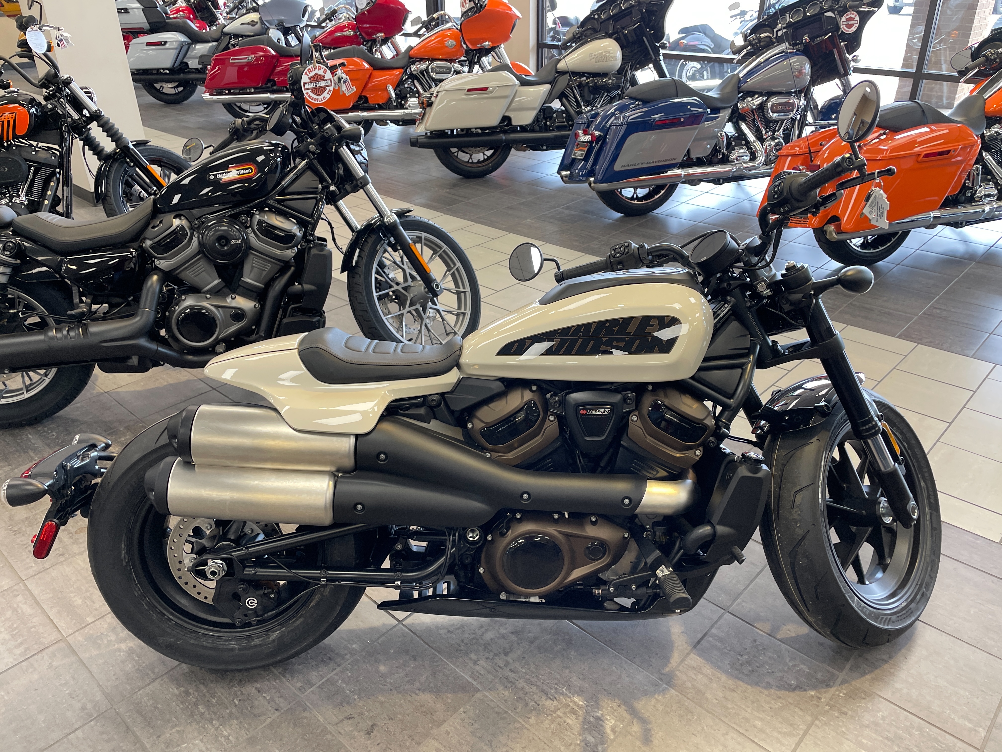 2023 Harley-Davidson Sportster at Tripp's Harley-Davidson