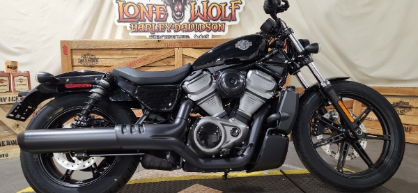 2024 Harley-Davidson Sportster Nightster at Lone Wolf Harley-Davidson