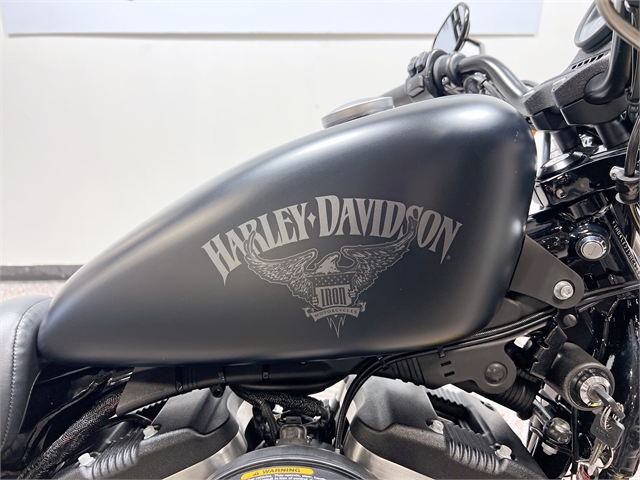 2017 Harley-Davidson Sportster Iron 883 at Harley-Davidson of Madison
