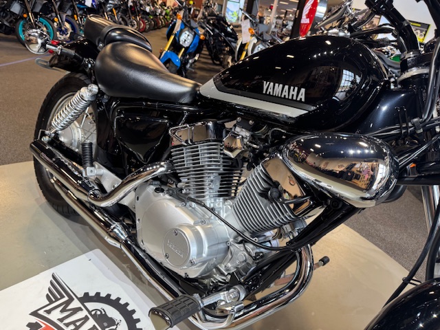 2023 Yamaha V Star 250 at Martin Moto