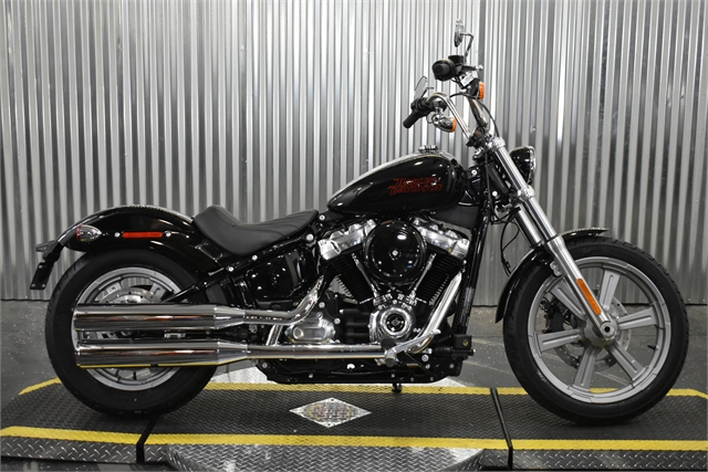 2023 Harley-Davidson Softail Standard | Teddy Morse's Grand