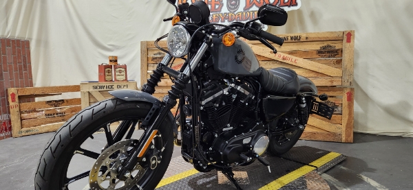 2022 Harley-Davidson Sportster Iron 883 at Lone Wolf Harley-Davidson