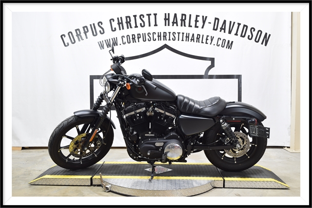 2021 Harley-Davidson Cruiser XL 883N Iron 883 at Corpus Christi Harley Davidson