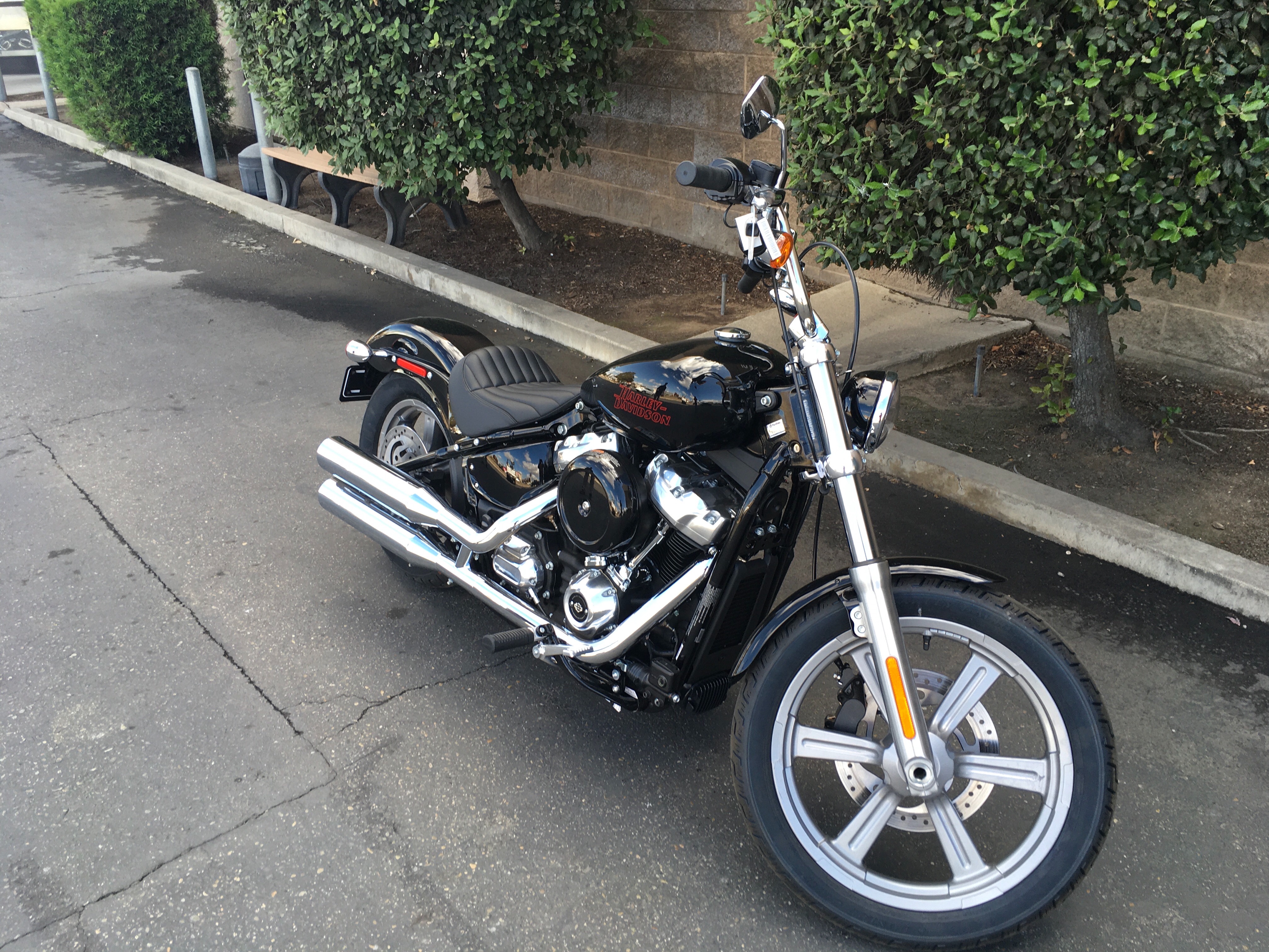 2023 Harley-Davidson Softail Standard at Fresno Harley-Davidson