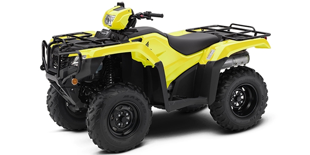 2019 Honda FourTrax Foreman 4x4 at Naples Powersport and Equipment