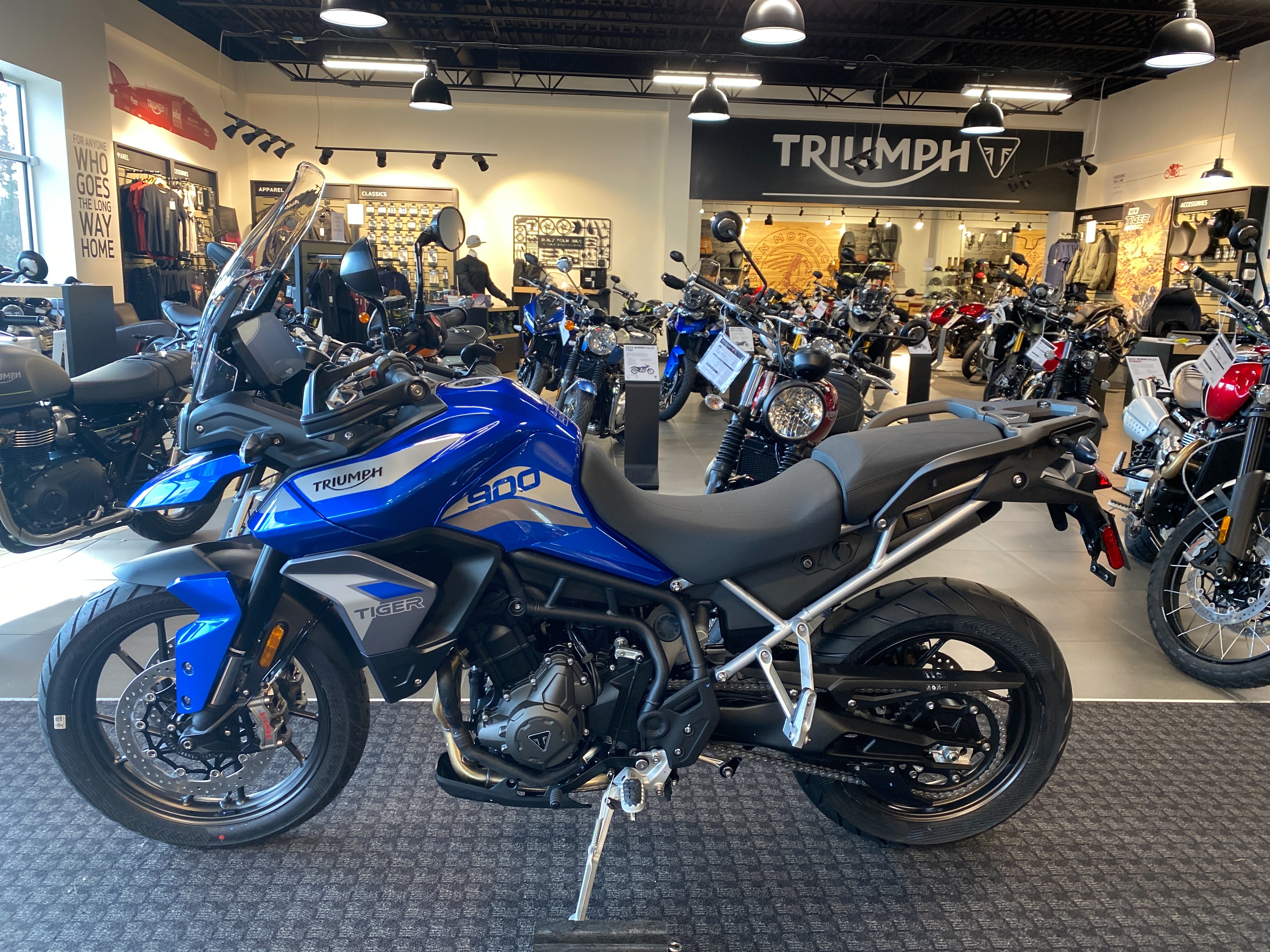 2023 Triumph Tiger 900 GT Low at Frontline Eurosports
