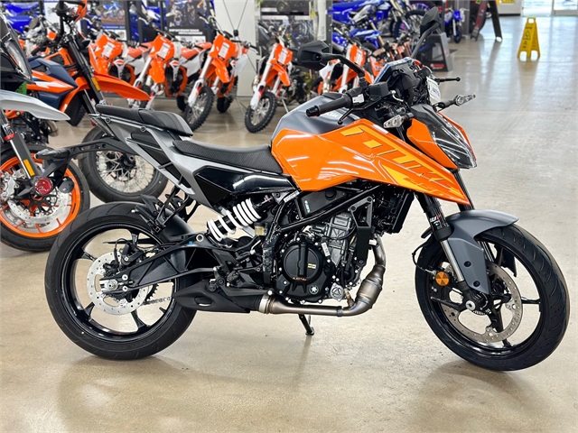 2024 KTM Duke 250 at ATVs and More