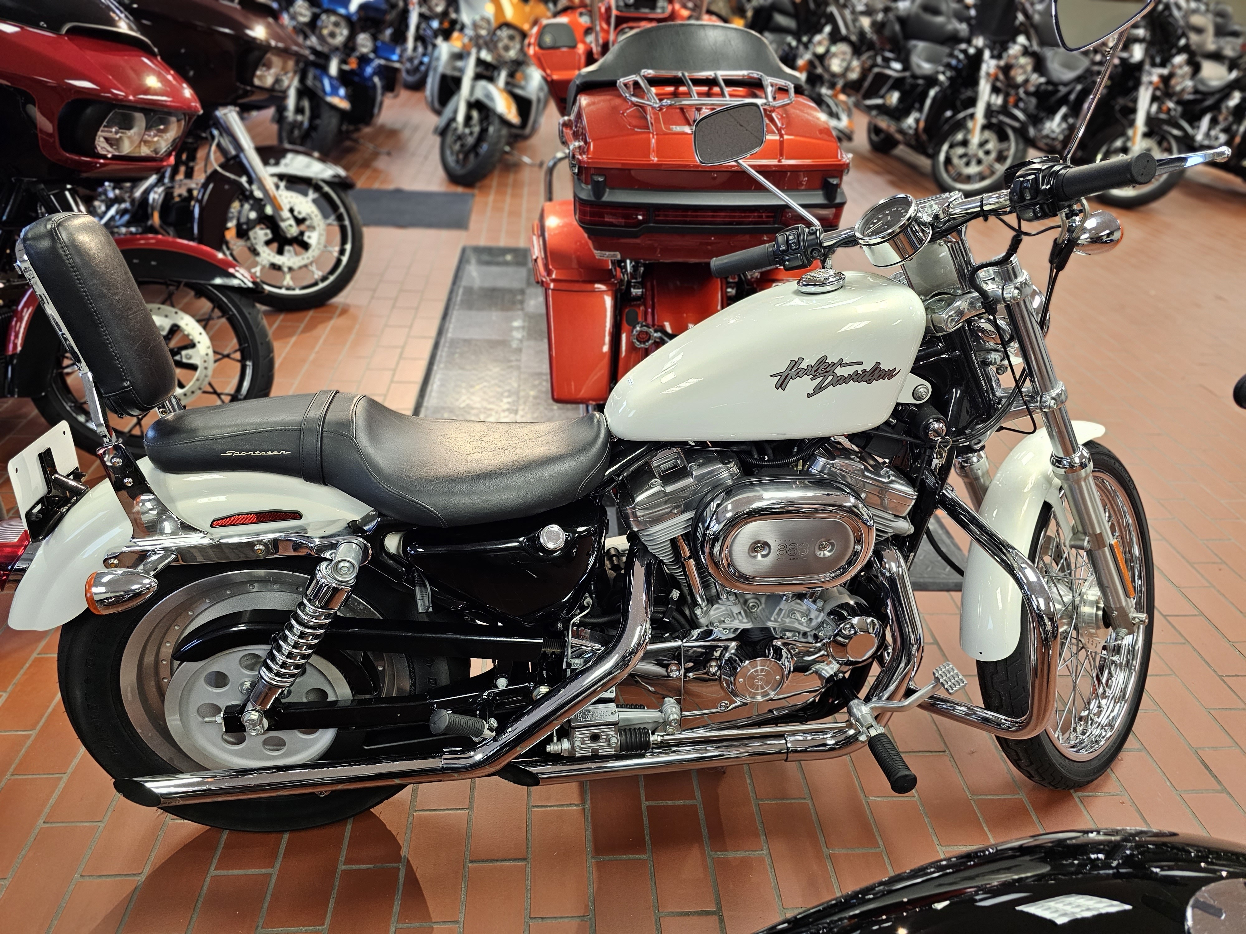 2002 Harley-Davidson XL883C at Rooster's Harley Davidson