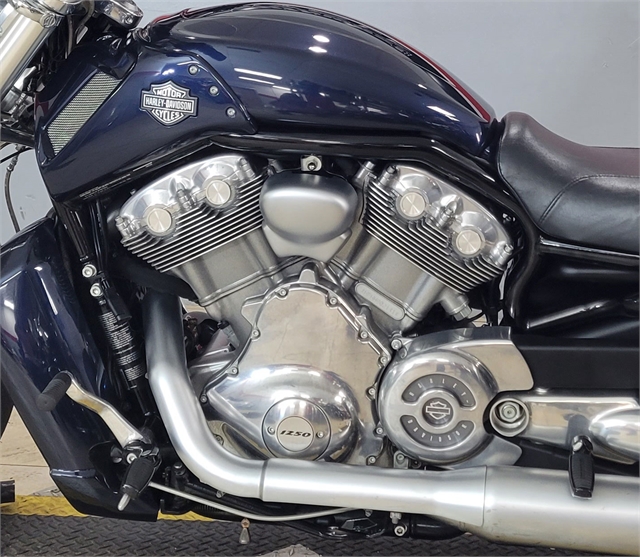 2017 Harley-Davidson V-Rod V-Rod Muscle at Southwest Cycle, Cape Coral, FL 33909