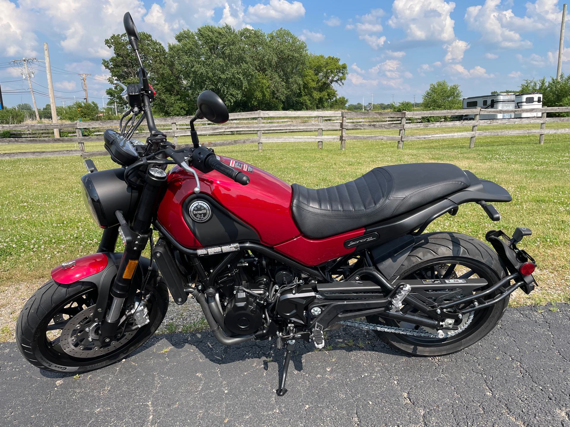 2022 Benelli Leoncino 500 at Randy's Cycle