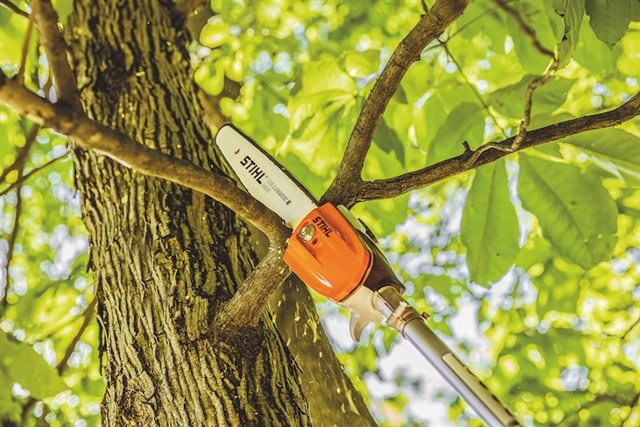 2024 STIHL HT-KM POLE PRUNER at McKinney Outdoor Superstore