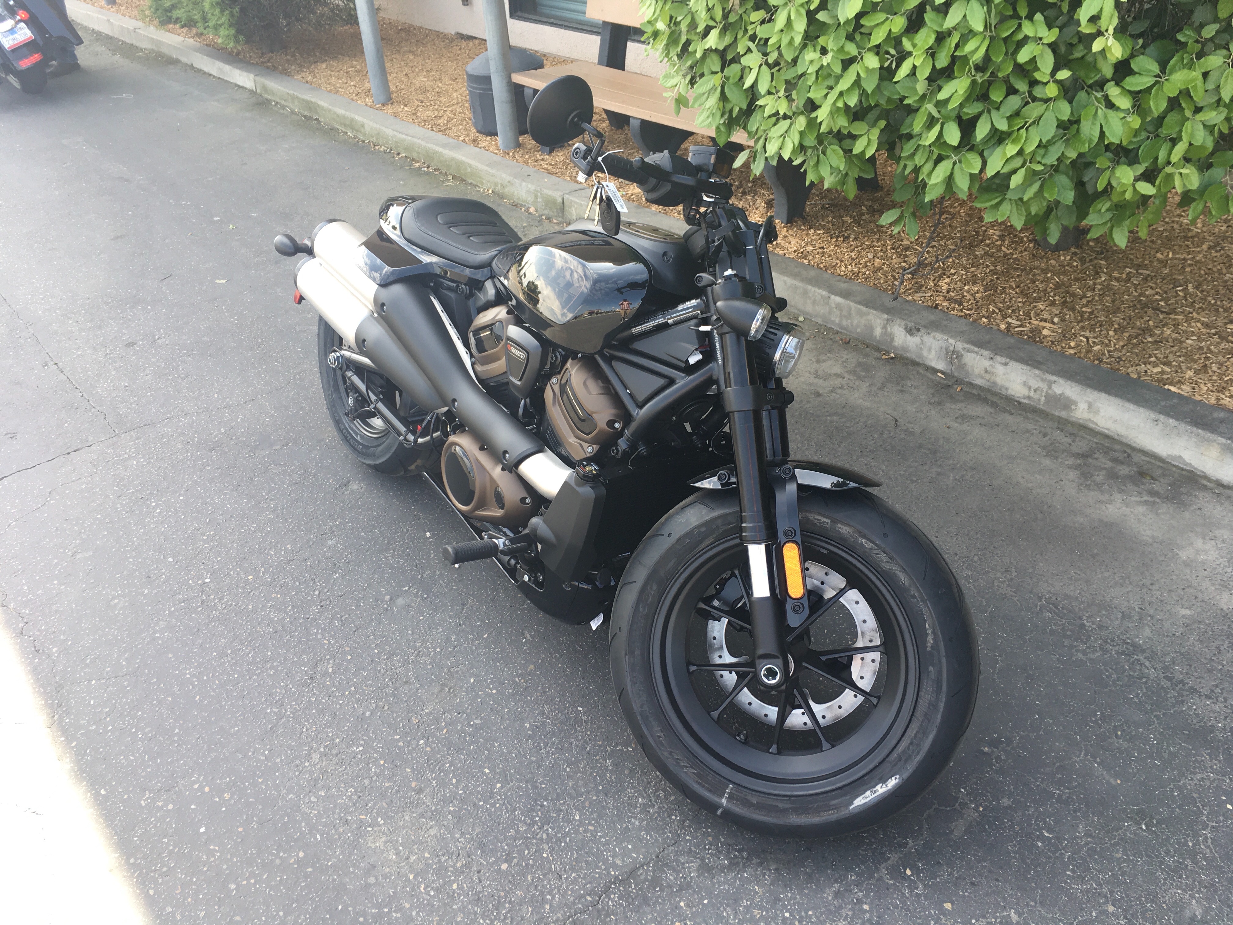 2024 Harley-Davidson Sportster at Fresno Harley-Davidson