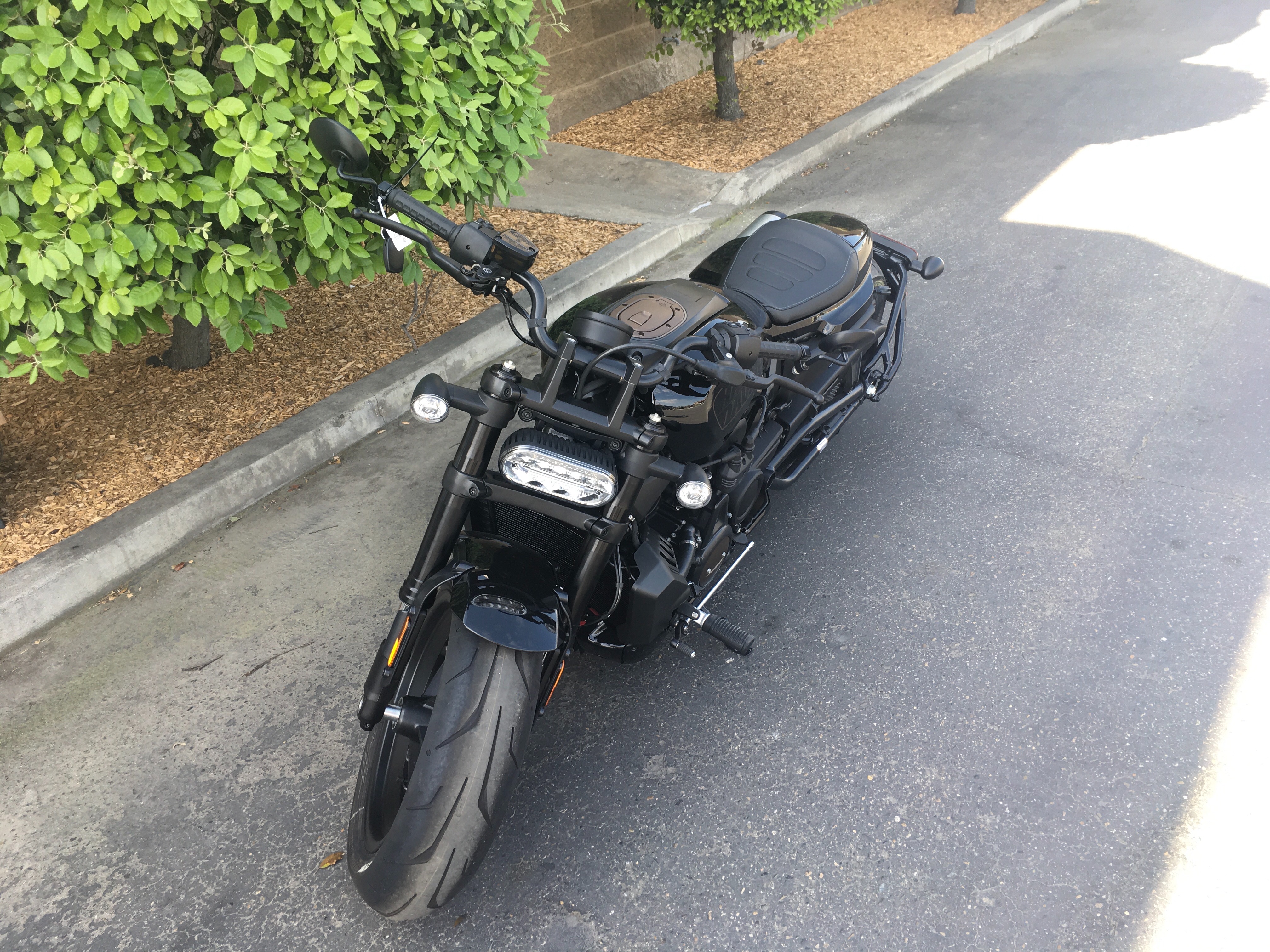 2024 Harley-Davidson Sportster at Fresno Harley-Davidson