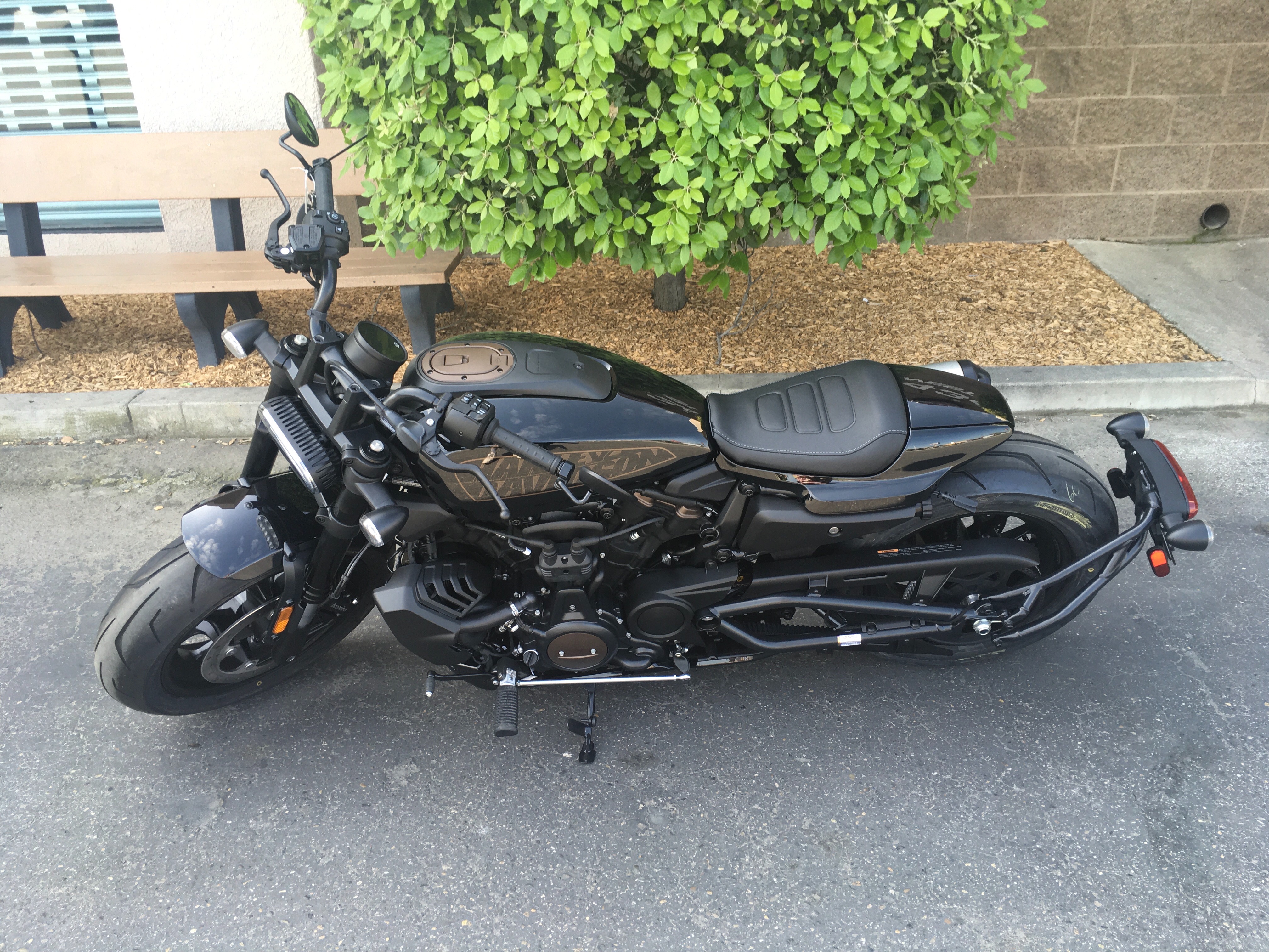 2024 Harley-Davidson Sportster at Fresno Harley-Davidson