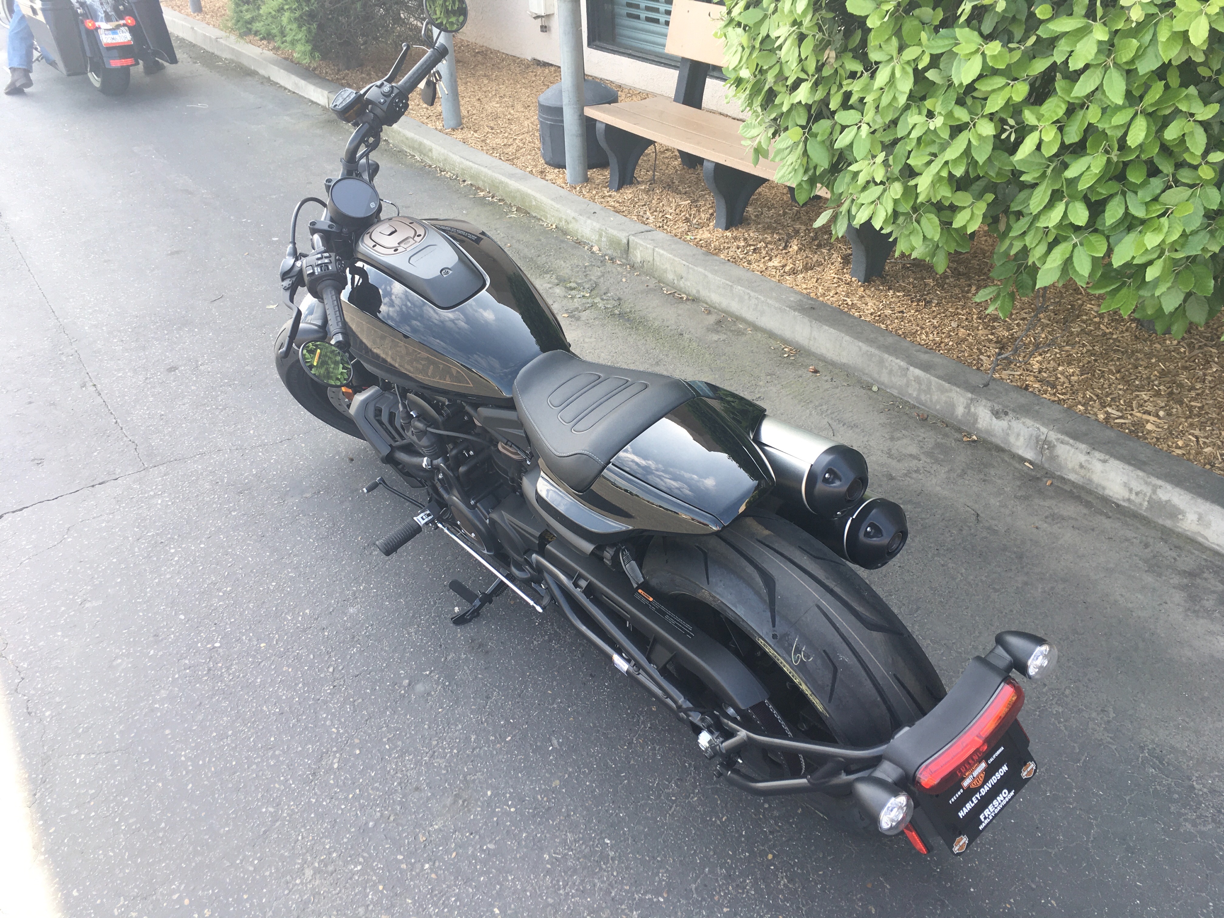 2024 Harley-Davidson Sportster at Fresno Harley-Davidson