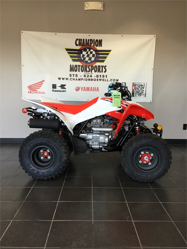 2024 Honda TRX 250X Champion Motorsports