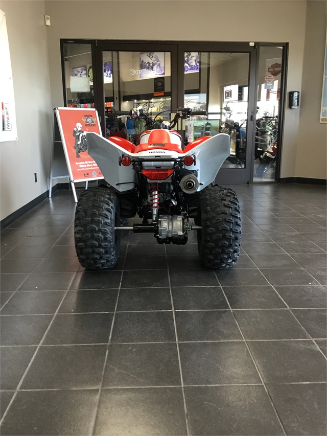 2024 Honda TRX 250X at Champion Motorsports