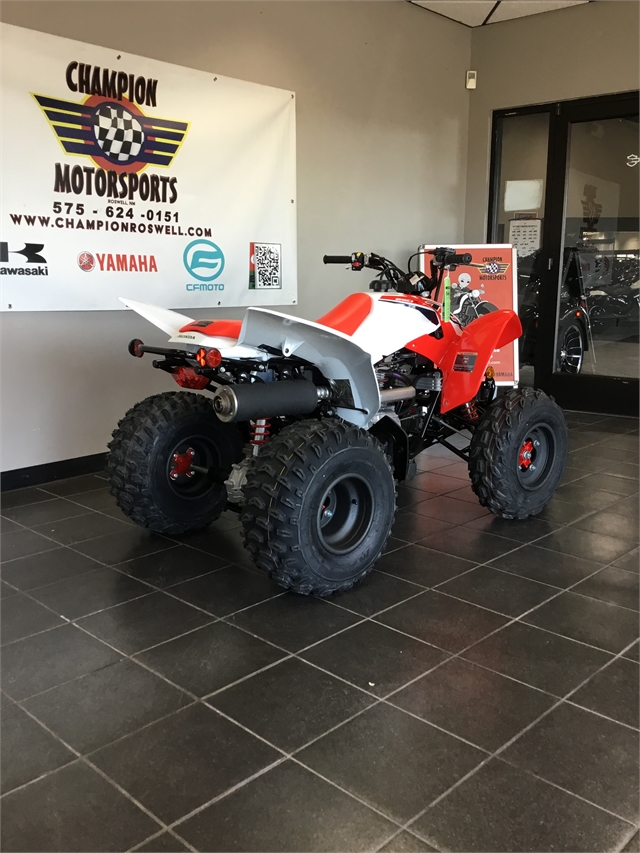 2024 Honda TRX 250X at Champion Motorsports