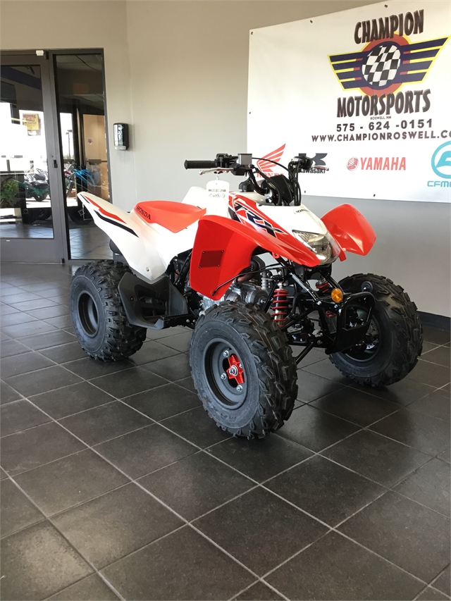 2024 Honda TRX 250X at Champion Motorsports