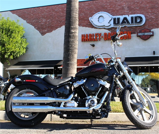 2024 Harley-Davidson Softail Standard at Quaid Harley-Davidson, Loma Linda, CA 92354