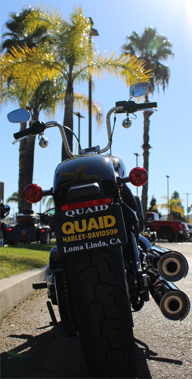 2024 Harley-Davidson Softail Standard at Quaid Harley-Davidson, Loma Linda, CA 92354