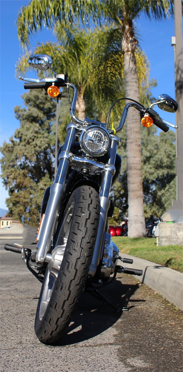 2024 Harley-Davidson Softail Standard at Quaid Harley-Davidson, Loma Linda, CA 92354