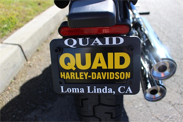 2024 Harley-Davidson Softail Standard at Quaid Harley-Davidson, Loma Linda, CA 92354