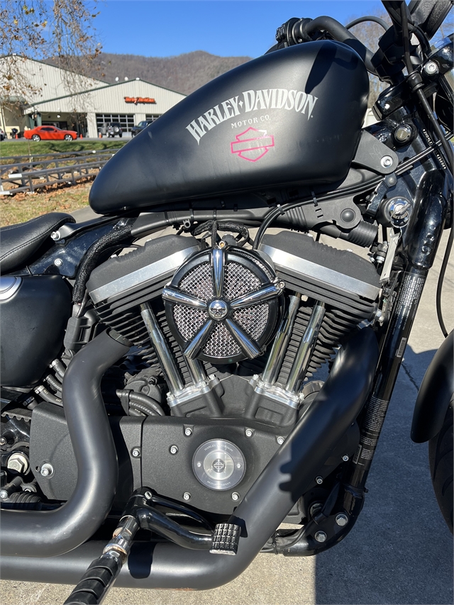 2014 Harley-Davidson Sportster Iron 883 at Harley-Davidson of Asheville