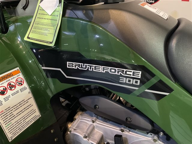 2025 Kawasaki Brute Force 300 at Cycle Max