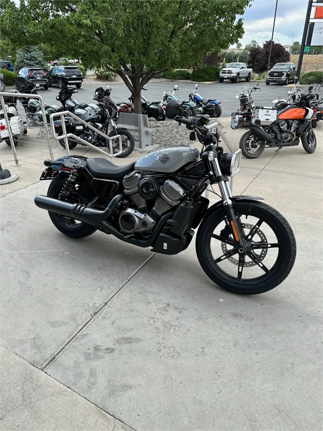 2024 Harley-Davidson Sportster Nightster at Teddy Morse's Grand Junction Harley-Davidson