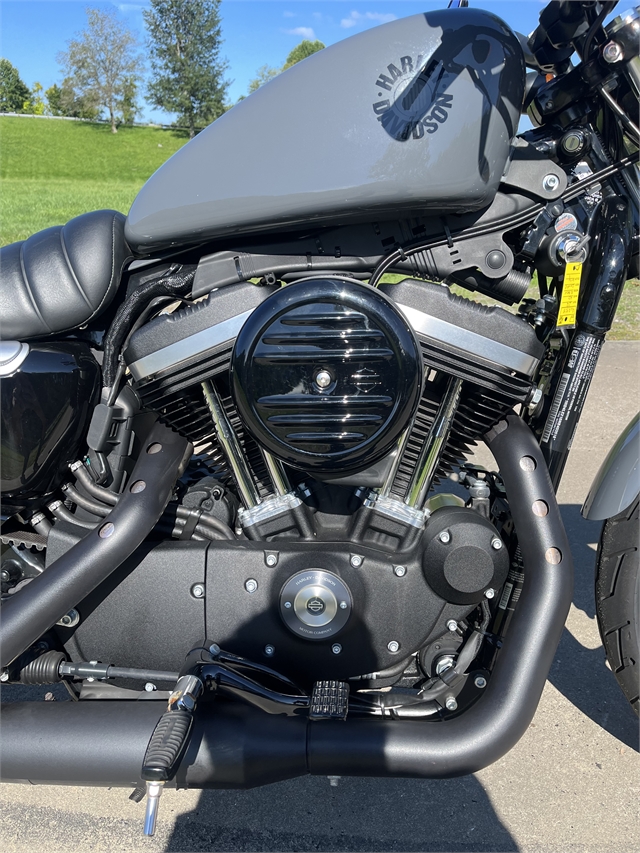 2022 Harley-Davidson Sportster Iron 883 at Harley-Davidson of Asheville