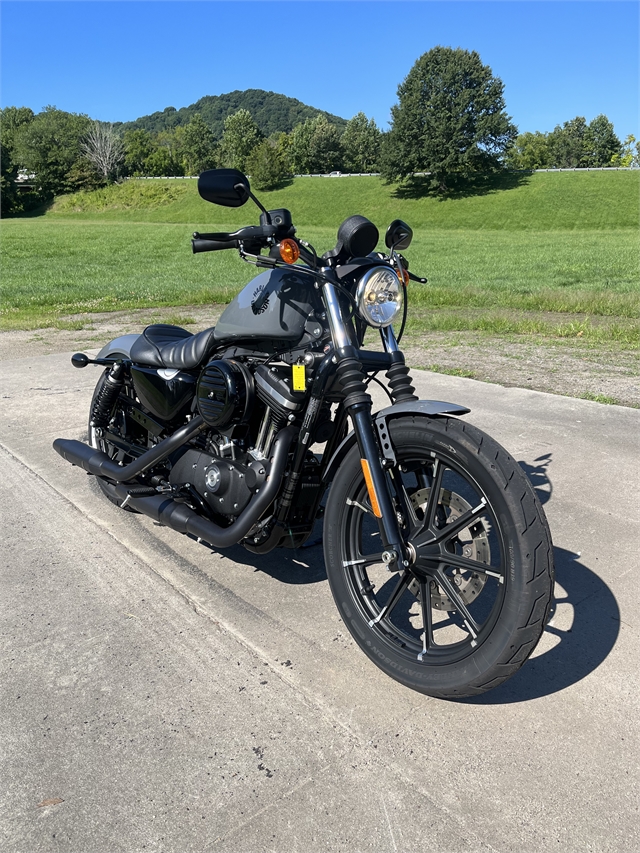 2022 Harley-Davidson Sportster Iron 883 at Harley-Davidson of Asheville