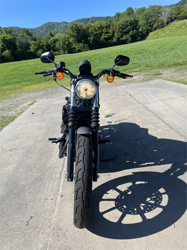 2022 Harley-Davidson Sportster Iron 883 at Harley-Davidson of Asheville