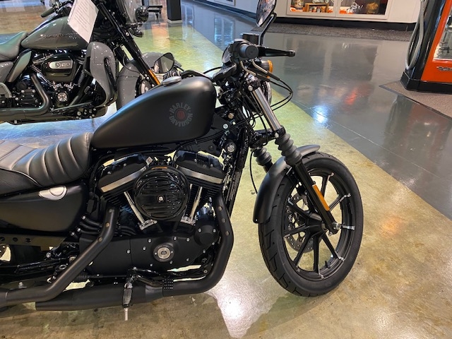 2022 Harley-Davidson Sportster Iron 883 at Carlton Harley-Davidson®