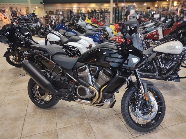 2024 Harley-Davidson Pan America 1250 Special at M & S Harley-Davidson