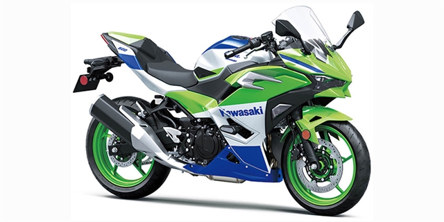 2024 Kawasaki Ninja 500 SE 40th Anniversary Edition ABS at Hebeler Sales & Service, Lockport, NY 14094