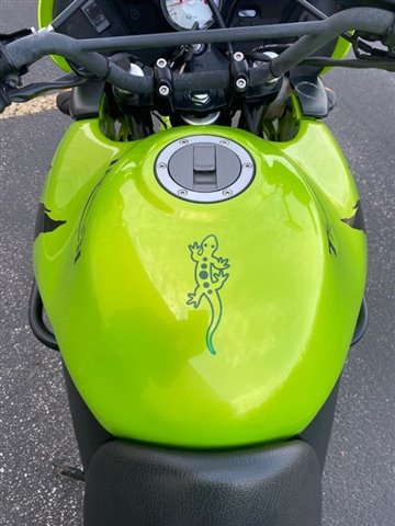 2001 Triumph Tiger 955i at Mount Rushmore Motorsports