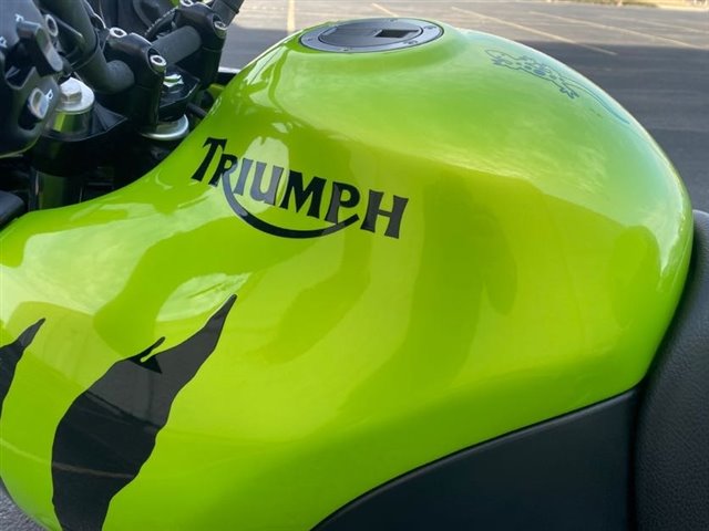 2001 Triumph Tiger 955i at Mount Rushmore Motorsports