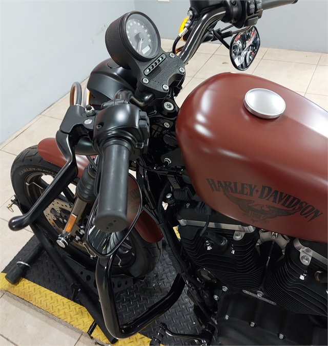 2017 Harley-Davidson Sportster Iron 883 at Southwest Cycle, Cape Coral, FL 33909