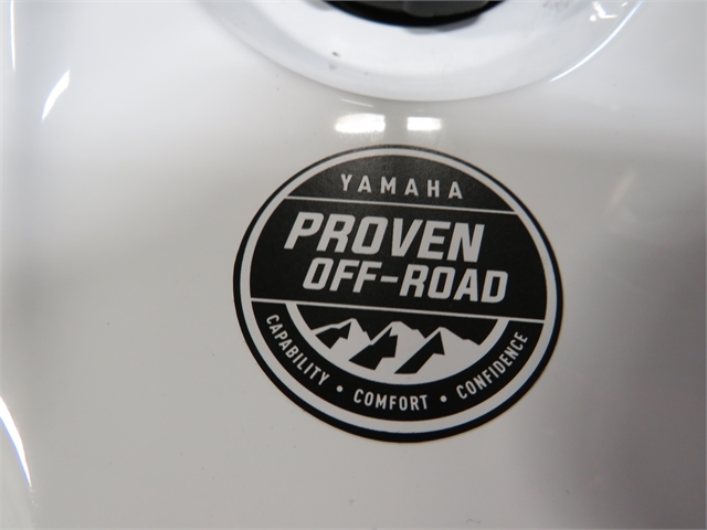 2022 Yamaha Raptor 700R SE at Sky Powersports Port Richey