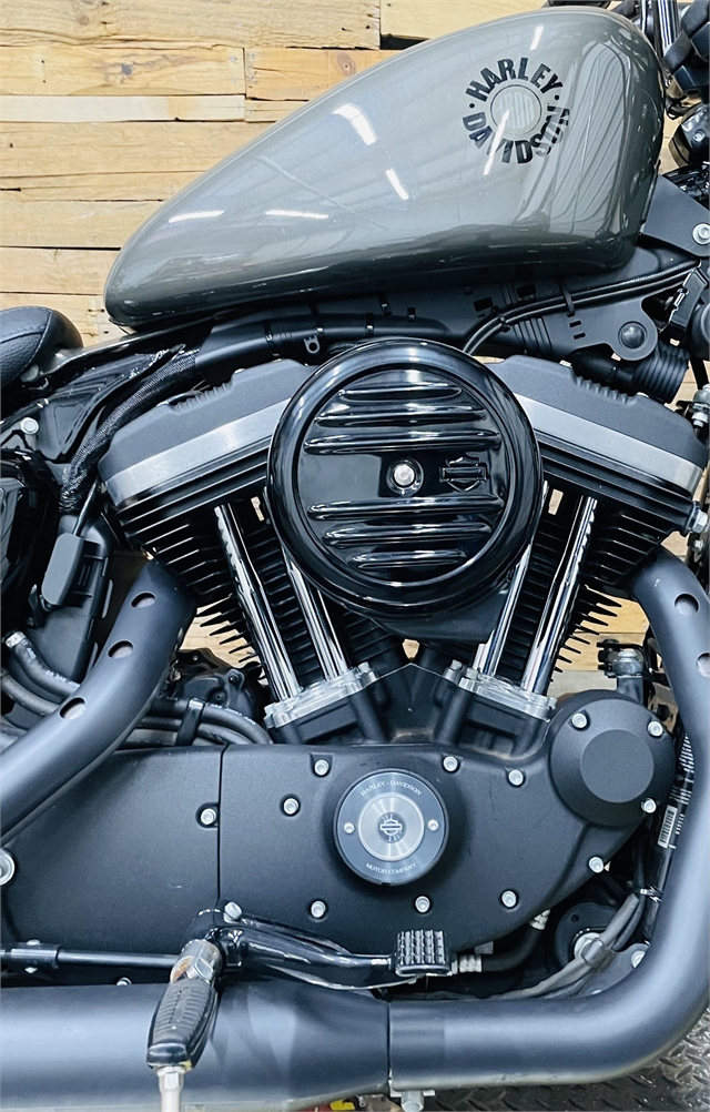 2019 Harley-Davidson Sportster Iron 883 at Lumberjack Harley-Davidson