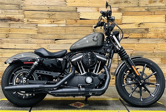 2019 Harley-Davidson Sportster Iron 883 at Lumberjack Harley-Davidson