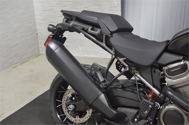 2024 Harley-Davidson Pan America 1250 Special at Suburban Motors Harley-Davidson