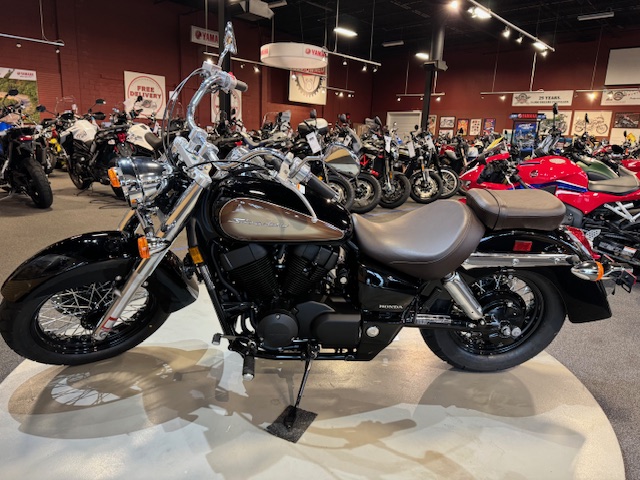 2024 Honda Shadow Aero at Martin Moto