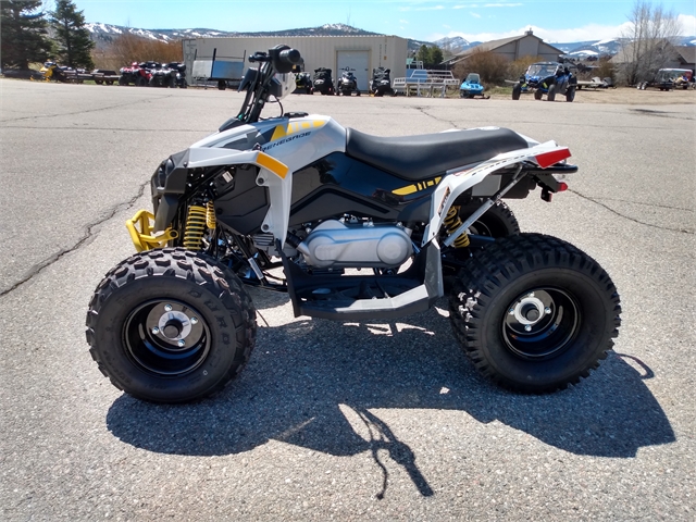 2024 Can-Am Renegade 110 EFI at Power World Sports, Granby, CO 80446